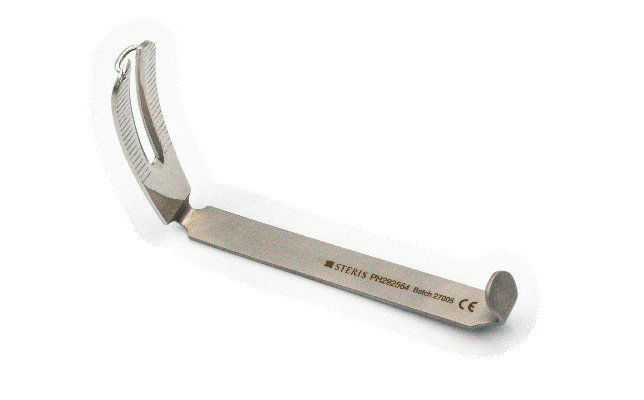 Daughty Mouth Gag Tongue Plate